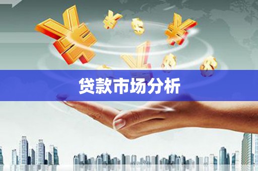 社旗贷款市场分析