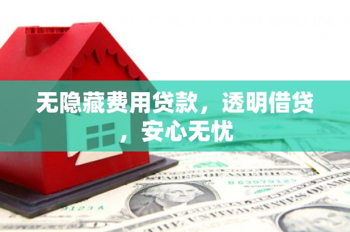 社旗无隐藏费用贷款，透明借贷，安心无忧