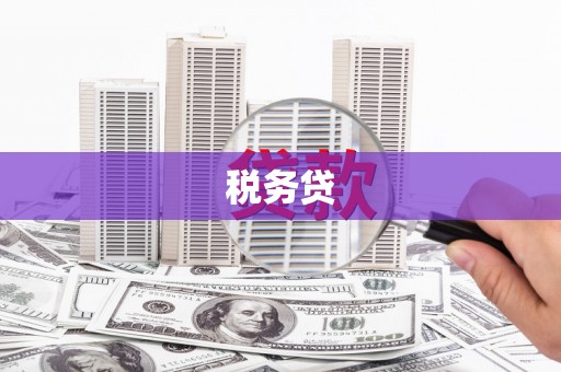 社旗税务贷