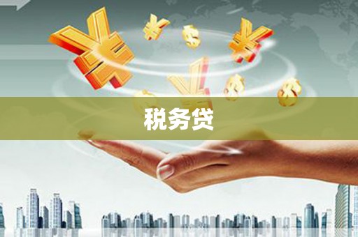 社旗税务贷