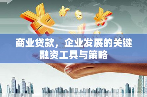 社旗商业贷款，企业发展的关键融资工具与策略