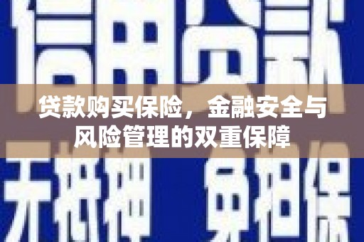 社旗贷款购买保险，金融安全与风险管理的双重保障