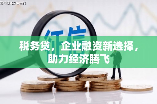 社旗税务贷，企业融资新选择，助力经济腾飞