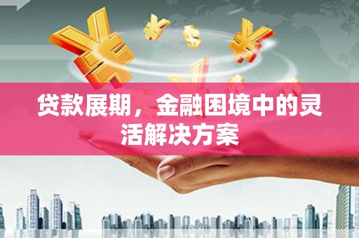 社旗贷款展期，金融困境中的灵活解决方案