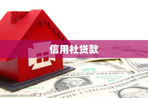社旗信用社贷款