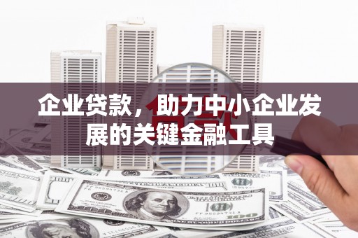 社旗企业贷款，助力中小企业发展的关键金融工具