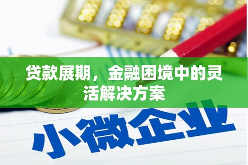 社旗贷款展期，金融困境中的灵活解决方案