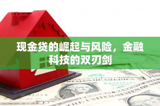 社旗现金贷的崛起与风险，金融科技的双刃剑