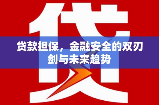 社旗贷款担保，金融安全的双刃剑与未来趋势