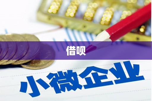 社旗借呗