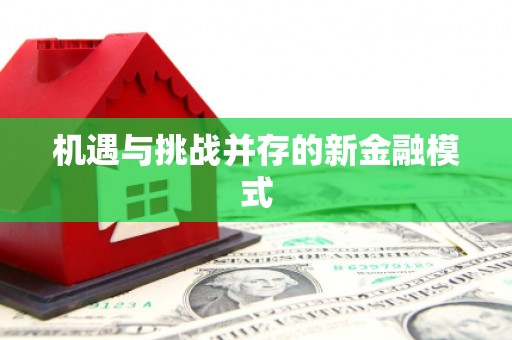 社旗机遇与挑战并存的新金融模式