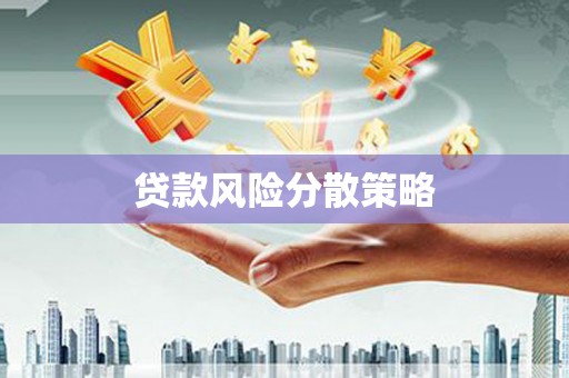 社旗贷款风险分散策略