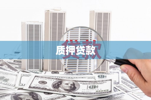 社旗质押贷款