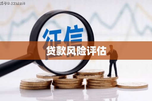 社旗贷款风险评估