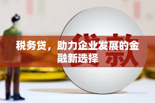 社旗税务贷，助力企业发展的金融新选择
