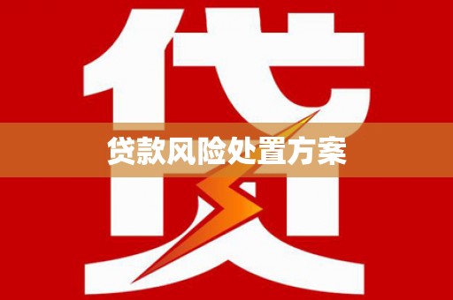 社旗贷款风险处置方案