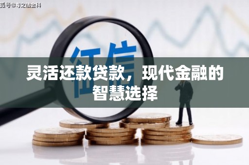 社旗灵活还款贷款，现代金融的智慧选择