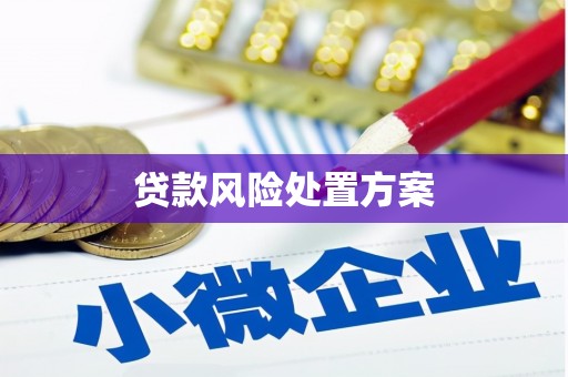 社旗贷款风险处置方案