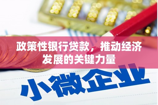 社旗政策性银行贷款，推动经济发展的关键力量