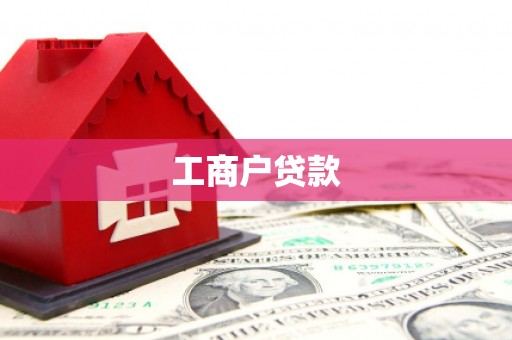 社旗工商户贷款