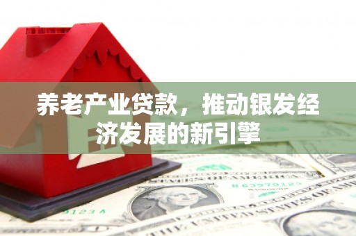 社旗养老产业贷款，推动银发经济发展的新引擎