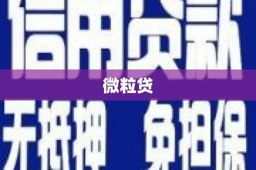 社旗微粒贷