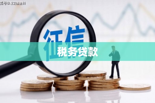 社旗税务贷款