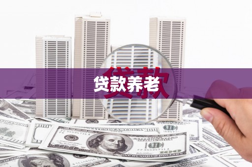 社旗贷款养老