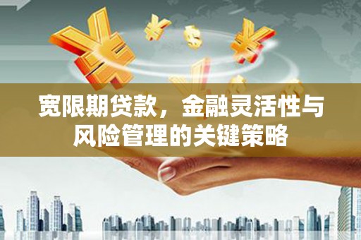 社旗宽限期贷款，金融灵活性与风险管理的关键策略
