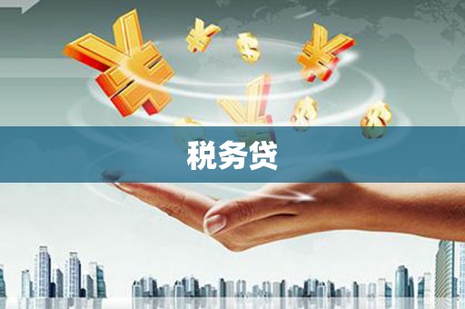 社旗税务贷