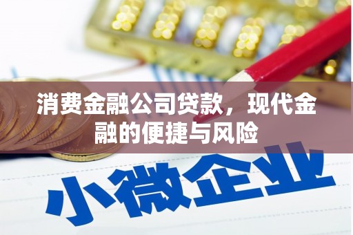 社旗消费金融公司贷款，现代金融的便捷与风险