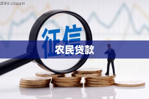 社旗农民贷款