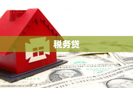 社旗税务贷