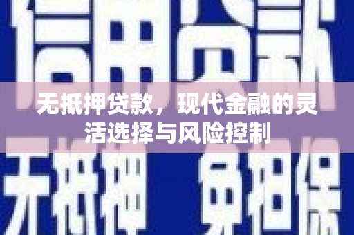 社旗无抵押贷款，现代金融的灵活选择与风险控制