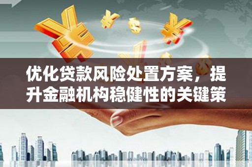 社旗优化贷款风险处置方案，提升金融机构稳健性的关键策略