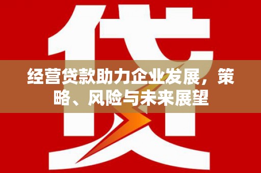 社旗经营贷款助力企业发展，策略、风险与未来展望