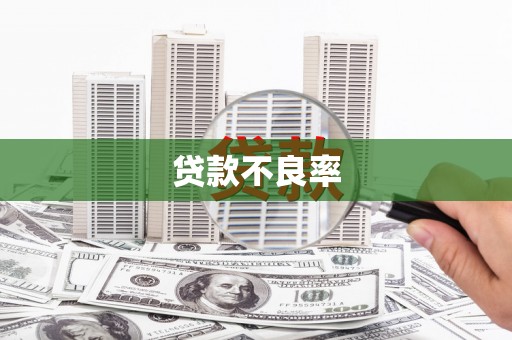 社旗贷款不良率