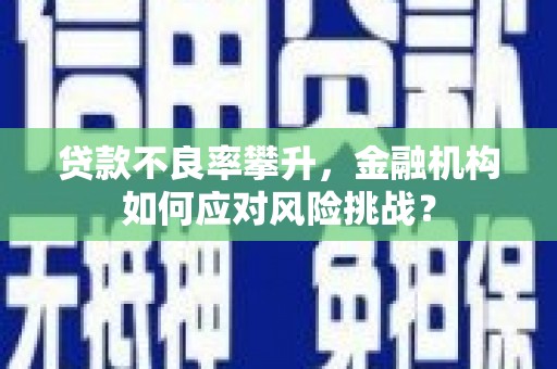 社旗贷款不良率攀升，金融机构如何应对风险挑战？