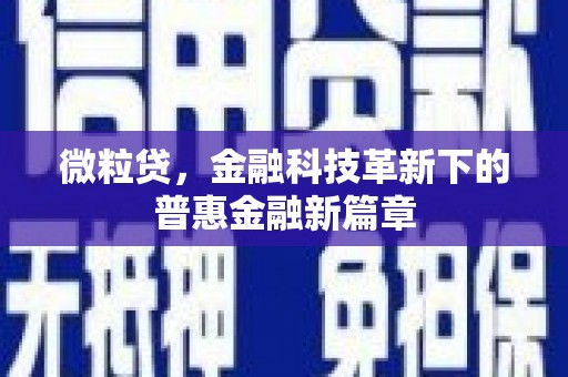 社旗微粒贷，金融科技革新下的普惠金融新篇章