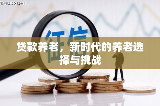 社旗贷款养老，新时代的养老选择与挑战