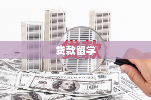 社旗贷款留学