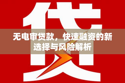 社旗无电审贷款，快速融资的新选择与风险解析