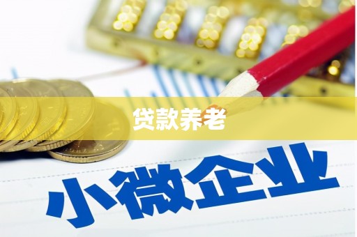 社旗贷款养老