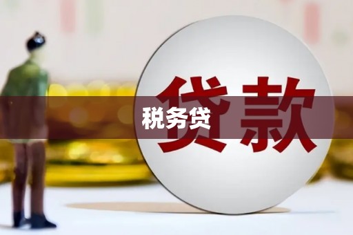 社旗税务贷