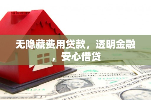 社旗无隐藏费用贷款，透明金融，安心借贷