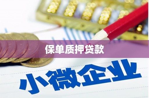 社旗保单质押贷款