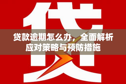社旗贷款逾期怎么办，全面解析应对策略与预防措施