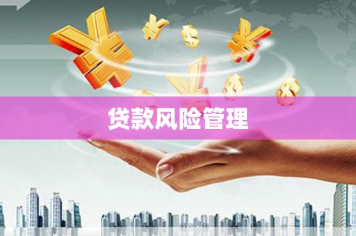 社旗贷款风险管理