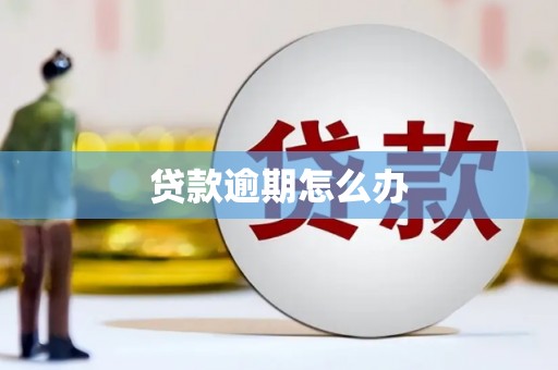 社旗贷款逾期怎么办
