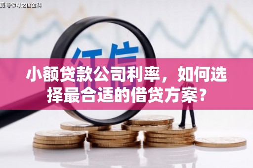 社旗小额贷款公司利率，如何选择最合适的借贷方案？